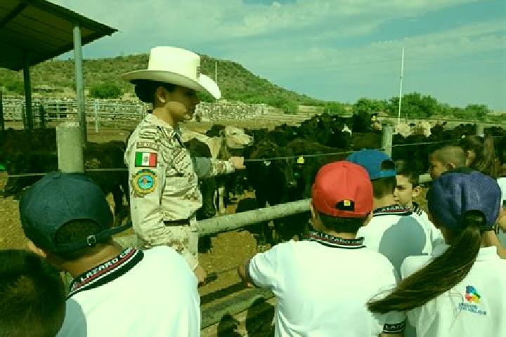 Ariana, 24 — Escort in Santa Gertrudis (Colonia Santa Gertrudis), Mexico