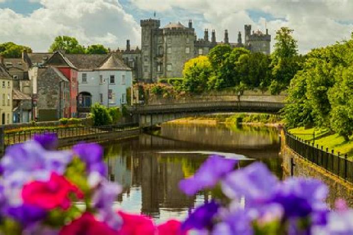 Ariana, 24 — Escort in Thomastown, Ireland
