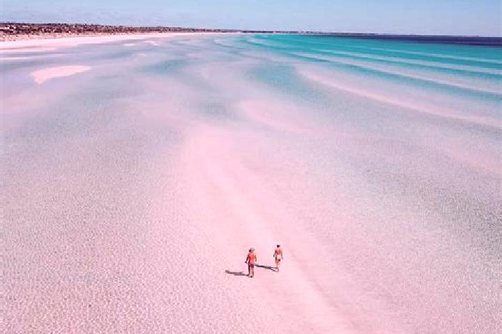 Ariana, 25 — Escort in Blacks Beach, Australia