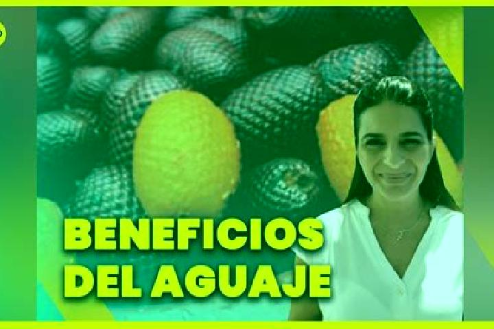 Ariana, 25 — Escort in Bonifacio Moreno (El Aguaje), Mexico