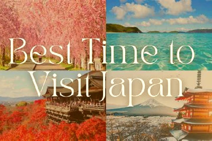 Ariana, 25 — Escort in Kawaharada, Japan