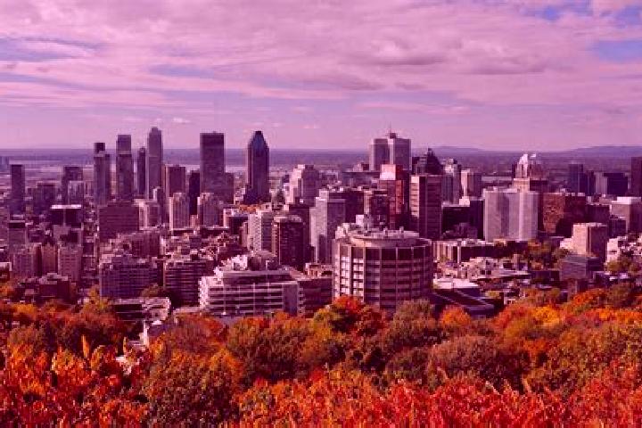 Ariana, 25 — Escort in Mont-Royal, Canada