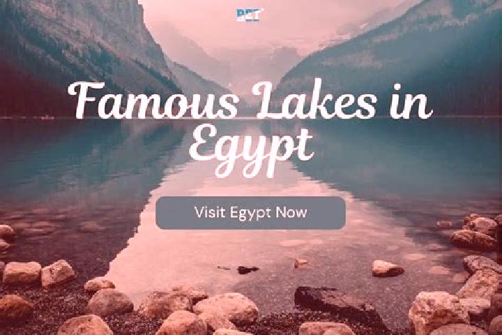 Ariana, 25 — Escort in Qasr al Farafirah, Egypt