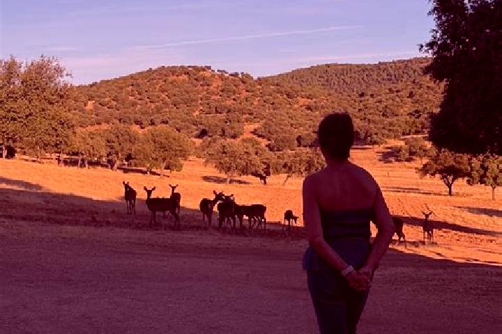 Ariana, 26 — Escort in Aldeaquemada, Spain