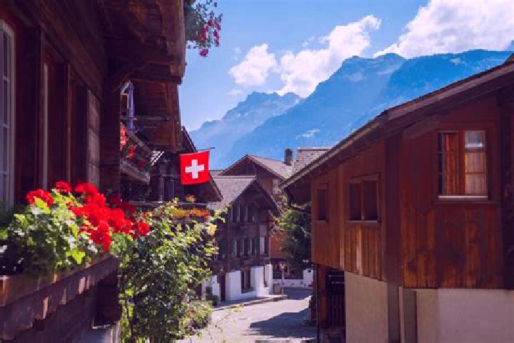 Ariana, 26 — Escort in Geroldswil / Bergacker, Switzerland