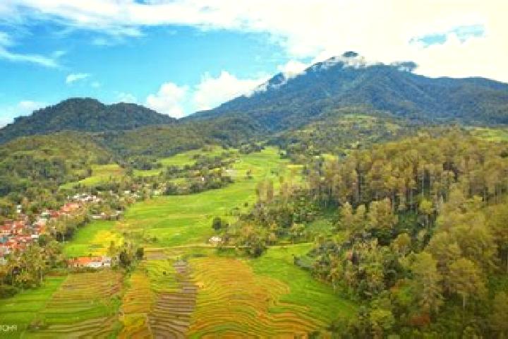 Ariana, 26 — Escort in Oenopu, Indonesia