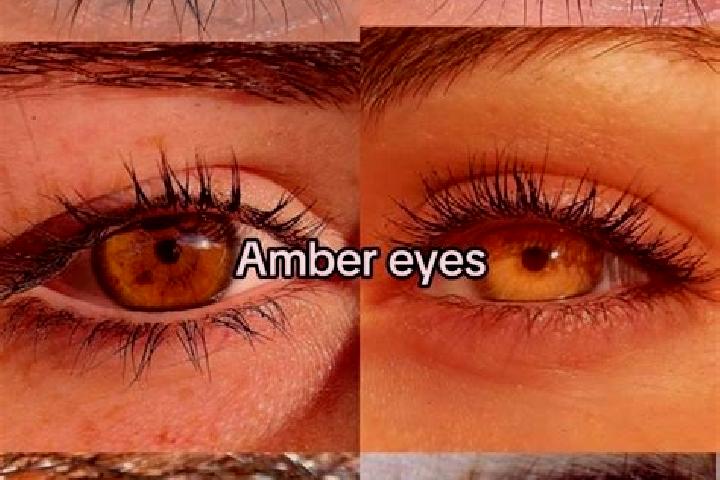 Ariana, 27, a chestnut amber-eyed mixed companion based in Siuri. Offering Dinner Date, GFE, Roleplay. Available for incall and outcall, day and evening dates.