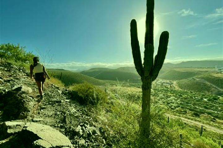 Ariana, 27 — Escort in Cerro de la Esperanza, Mexico