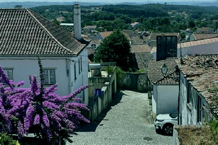 Ariana, 27 — Escort in Figueiro dos Vinhos, Portugal