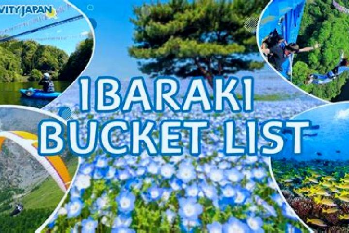 Ariana, 27 — Escort in Ibaraki, Japan