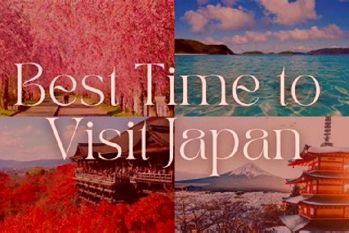 Ariana, 27 — Escort in Itabashi, Japan