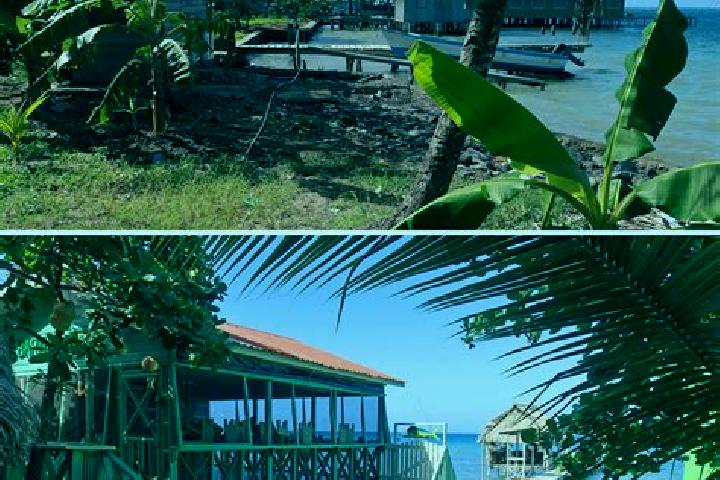 Ariana, 27 — Escort in Mangrove Bight, Honduras