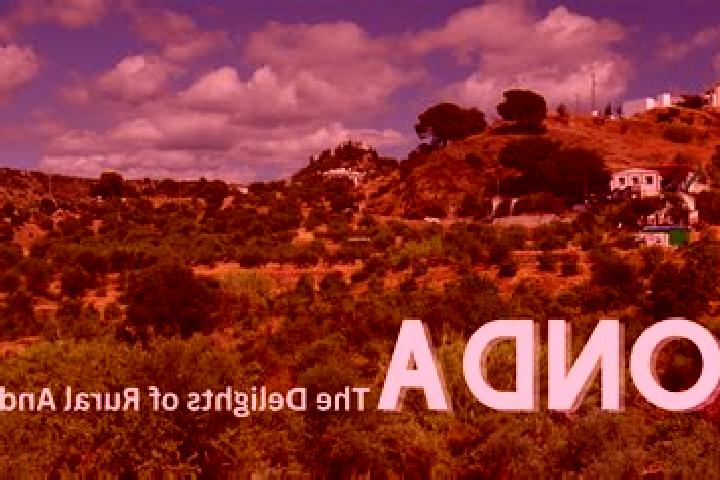 Ariana, 27 — Escort in Monda, Spain