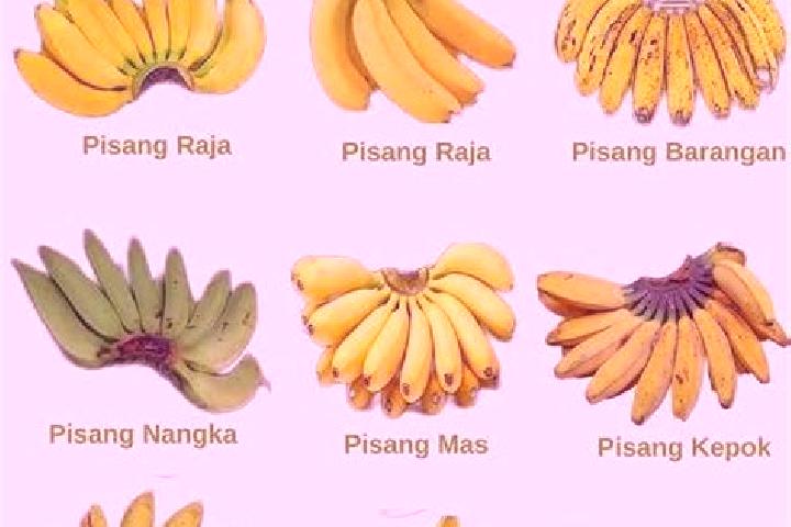 Ariana, 27 — Escort in Pisang, Indonesia