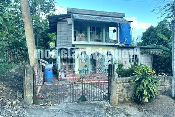 Ariana, 27 — Escort in Point Hill, Jamaica