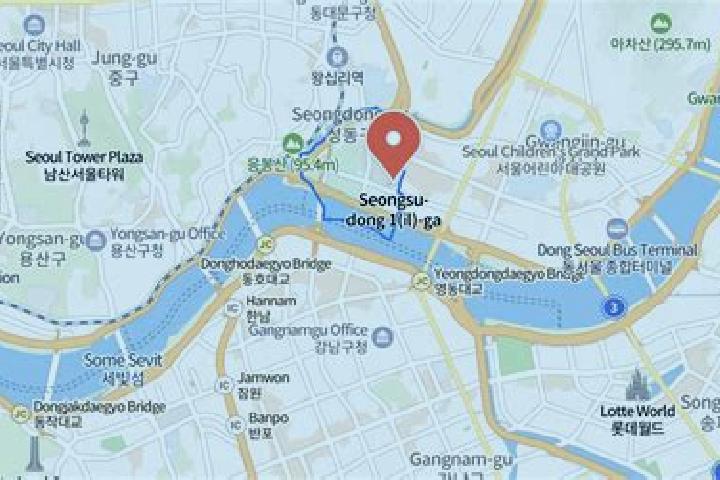 Ariana, 27 — Escort in Seongsu, South Korea
