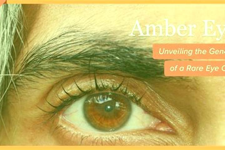 Ariana, 28, a red amber-eyed slavic companion based in Santa Maria dei Sabbioni. Offering Overnight, Duos, Striptease. Available for incall and outcall, over...