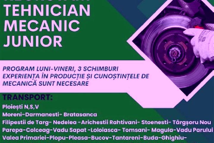 Ariana, 28 — Escort in Cocorastii Grind, Romania
