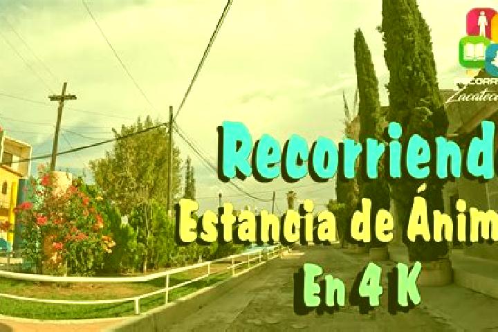 Ariana, 28 — Escort in Estancia de Animas, Mexico