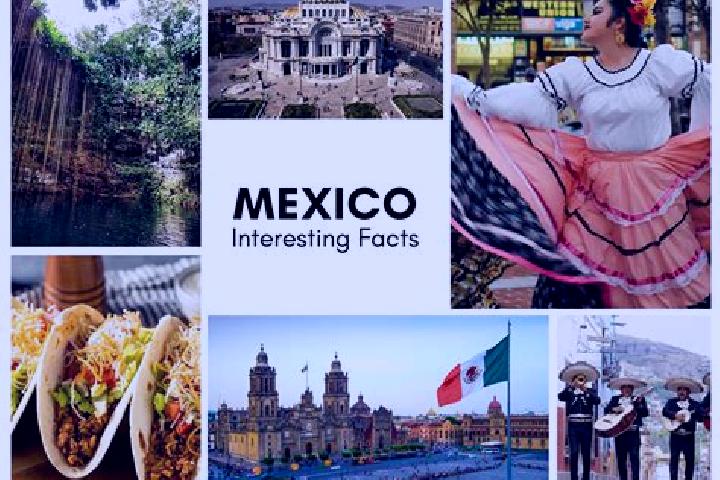 Ariana, 28 — Escort in Iyotla, Mexico