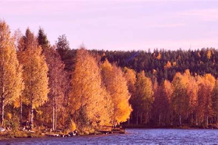 Ariana, 28 — Escort in Kemijaervi, Finland