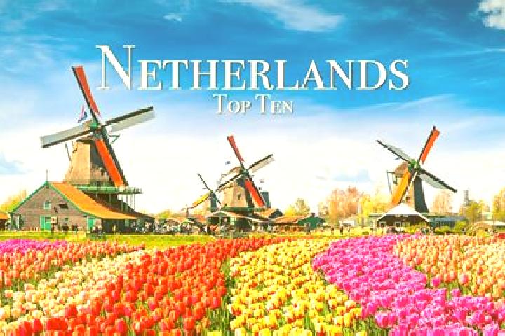 Ariana, 28 — Escort in Lomm, Netherlands