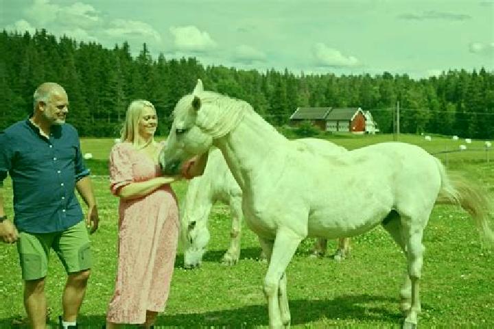 Ariana, 28 — Escort in Raholt, Norway