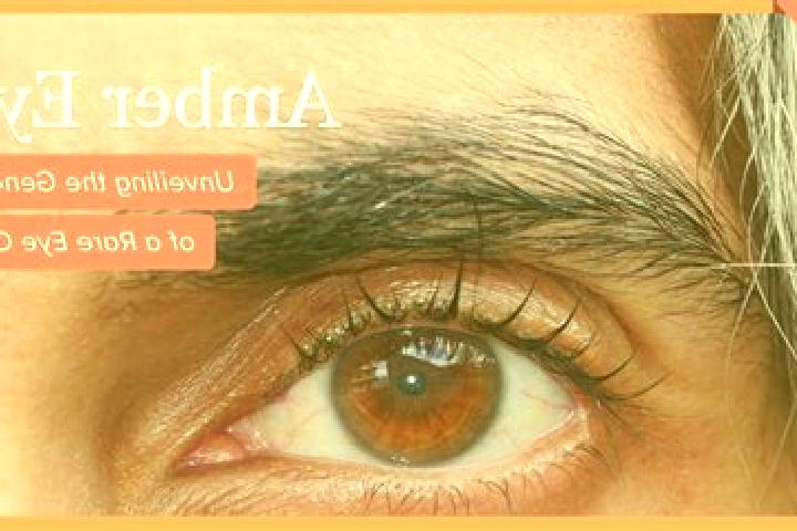 Ariana, 29, a black amber-eyed caribbean companion based in Pigra. Offering OWO, GFE, 69, Domination. Available for incall and outcall, day and evening dates.