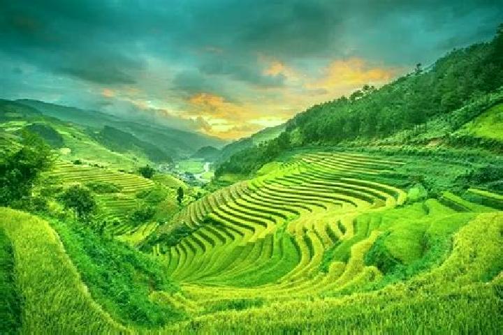 Ariana, 29 — Escort in A Yun Pa, Vietnam
