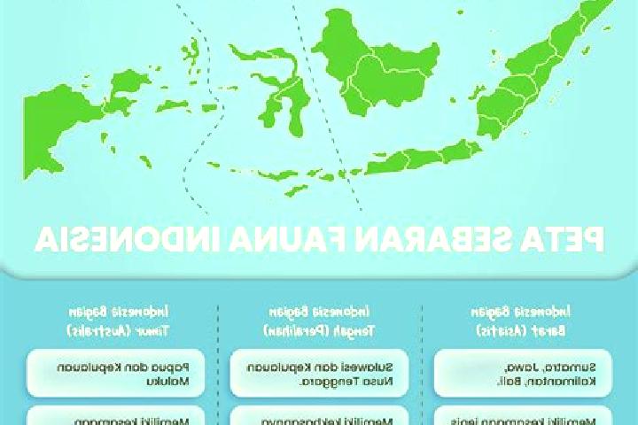 Ariana, 29 — Escort in Perante Tengah, Indonesia