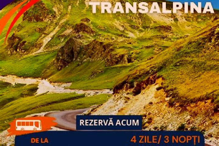 Ariana, 29 — Escort in Polovragi, Romania