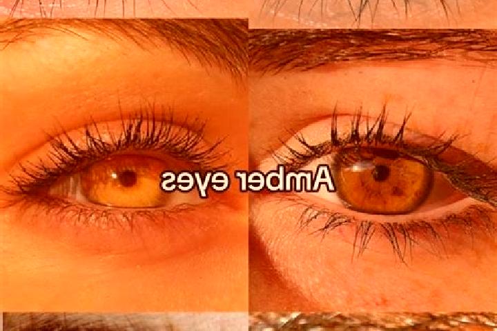 Ariana, 30, a chestnut amber-eyed slavic companion based in Grao Mogol. Offering Couples, Erotic Massage, CIM. Available for incall and outcall, day and even...