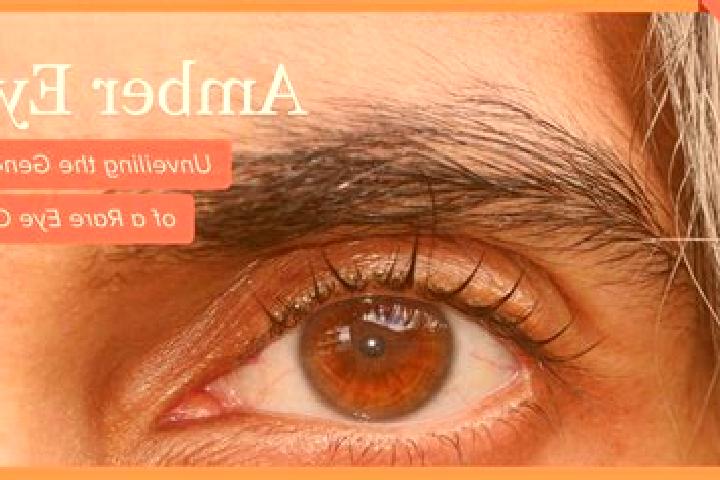 Ariana, 30, a red amber-eyed latina companion based in Dve Mogili. Offering Dinner Date, Erotic Massage, Striptease, Party Girl. Available for incall and out...