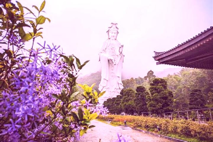 Ariana, 30 — Escort in Tsz Ching Estate, Hong Kong