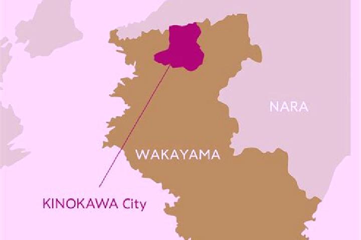 Ariana, 31 — Escort in Kinokawa, Japan