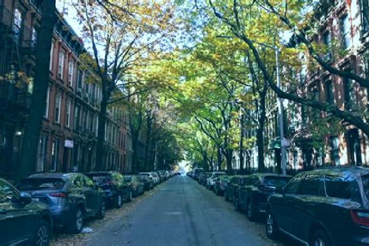 Ariana, 31 — Escort in Park Slope, United States