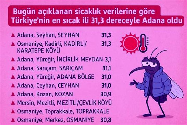 Ariana, 31 — Escort in Toprakkale, Turkey