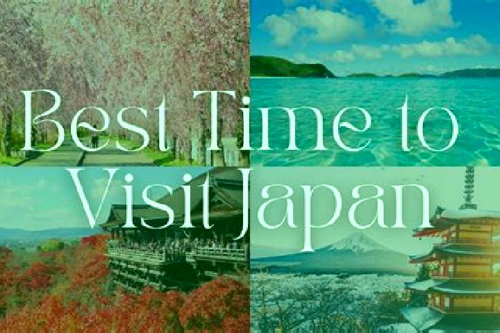 Ariana, 32 — Escort in Aso, Japan