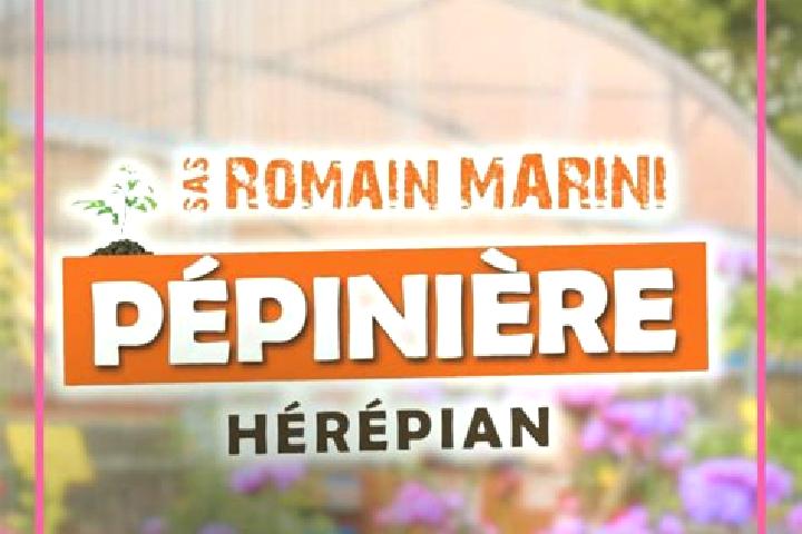 Ariana, 32 — Escort in Herepian, France