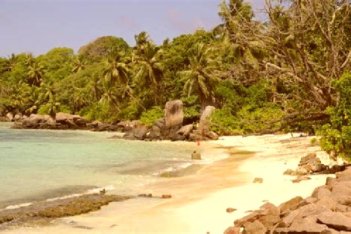 Ariana, 33 — Escort in Anse aux Pins, Seychelles