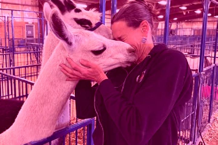 Ariana, 33 — Escort in Meeker, United States