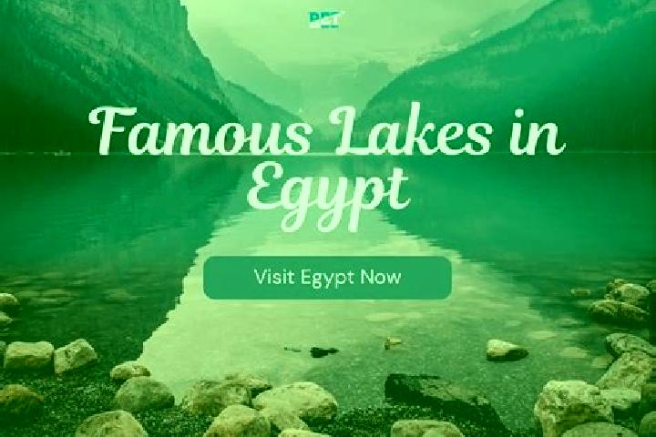 Ariana, 33 — Escort in Nuwaybi a, Egypt