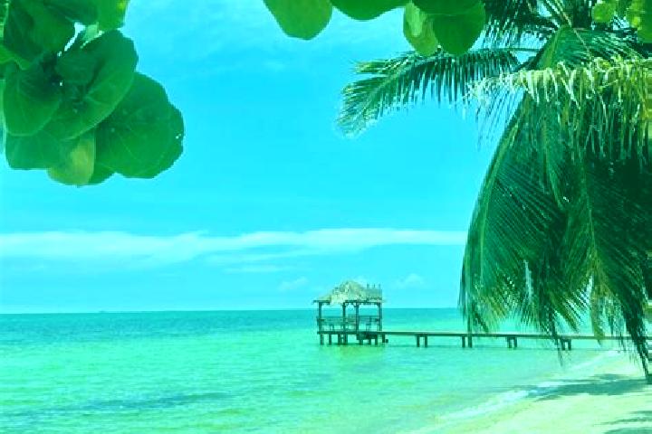 Ariana, 33 — Escort in St. Margaret, Belize