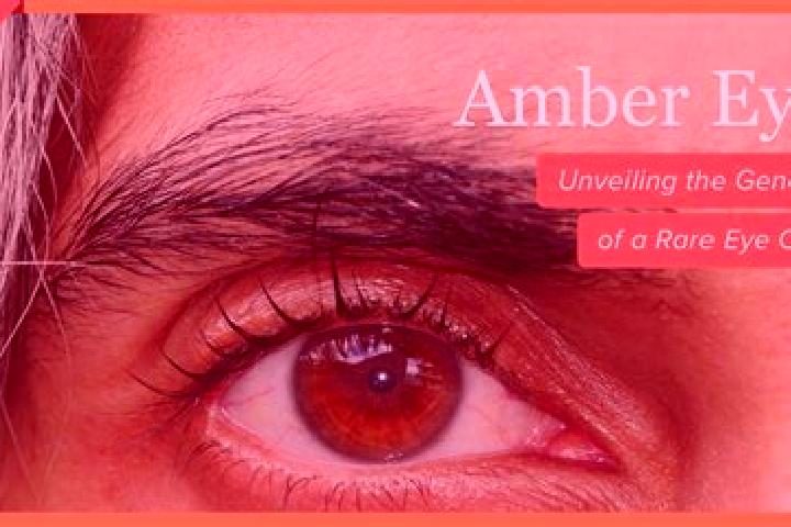 Ariana, 34, a red amber-eyed ebony companion based in Ancin. Offering BDSM, Travel Companion, GFE. Available for incall and outcall, day and evening dates.