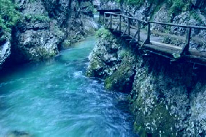 Ariana, 34 — Escort in Jesenice, Slovenia
