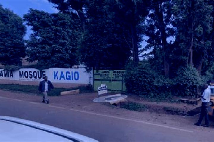 Ariana, 34 — Escort in Kagio, Kenya