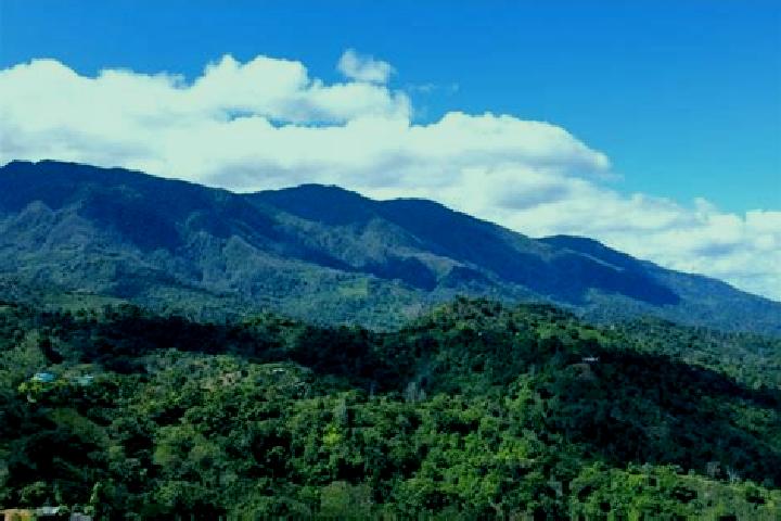 Ariana, 34 — Escort in San Jose del Potrero, Honduras