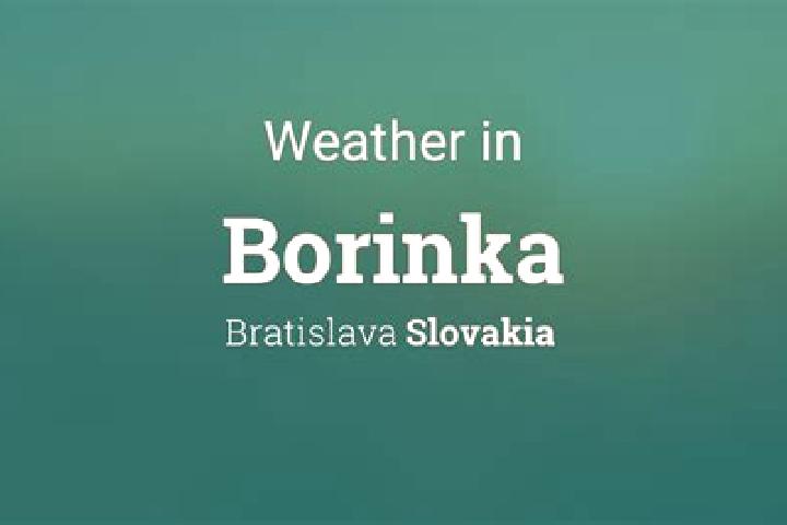 Ariana, 35 — Escort in Borinka, Slovakia