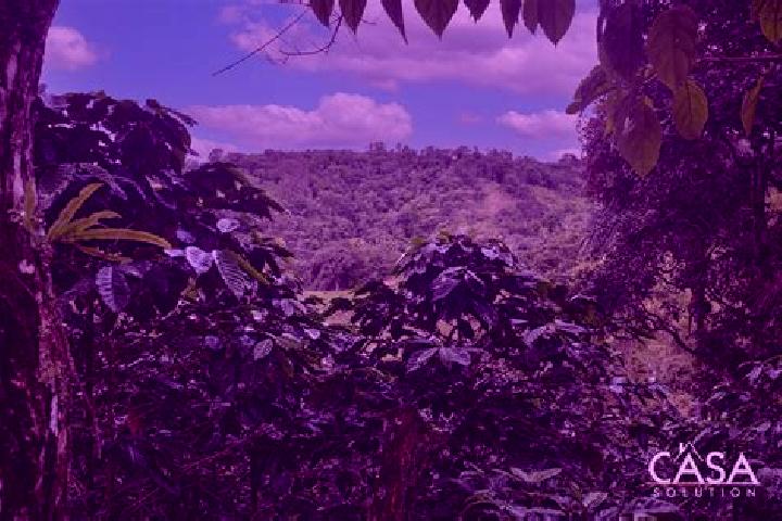 Ariana, 35 — Escort in Monte Lirio, Panama
