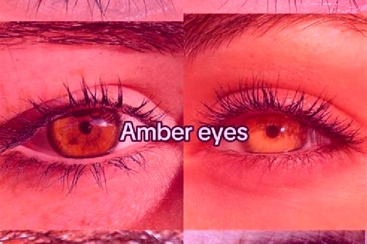 Ariana, 36, a brunette amber-eyed ebony companion based in Paim Filho. Offering A-Level, Dinner Date, Fetish, BDSM. Available for incall and outcall, day and...